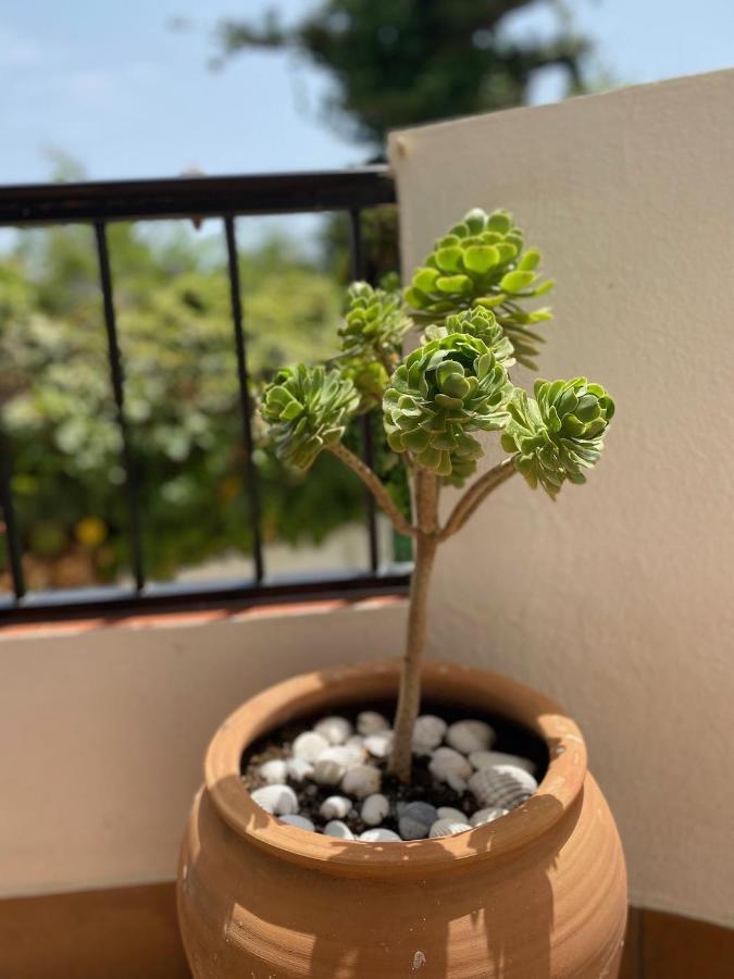 Apartment Palmeras 3, *
