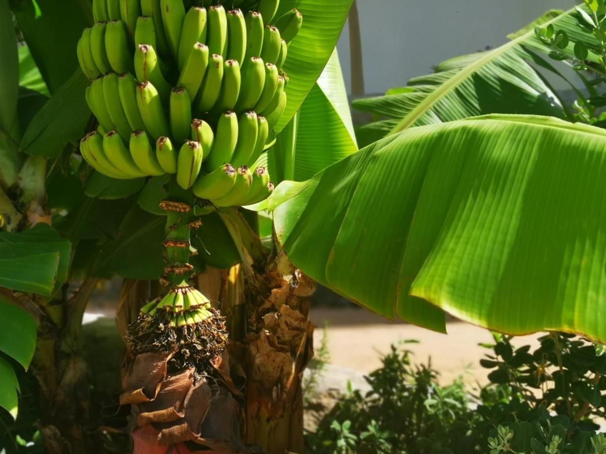 Apartamento Brand New Surrounded By Tropical Gardens! *