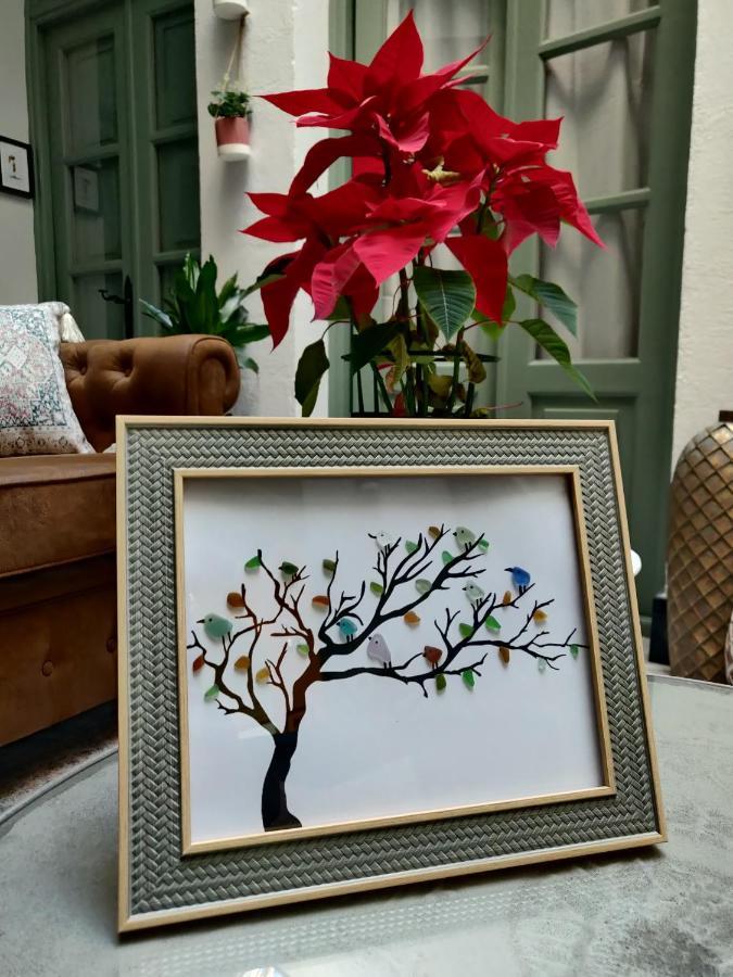 Bed & Breakfast La Gitanilla & Encanto Jerez