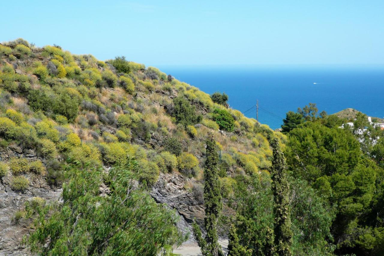 Holiday home House With Terrace, Amazing Views And Private Shared Pool *