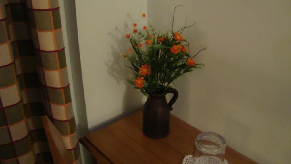 El Volante Guest house