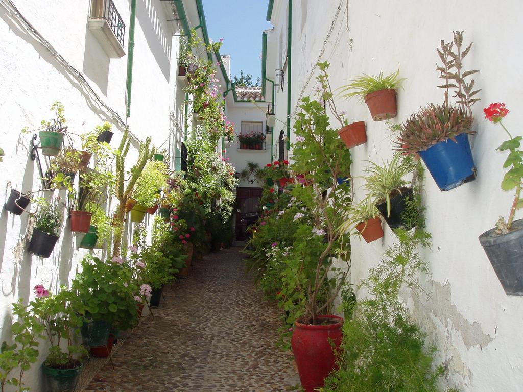 El Rincon De Carmen Rute
