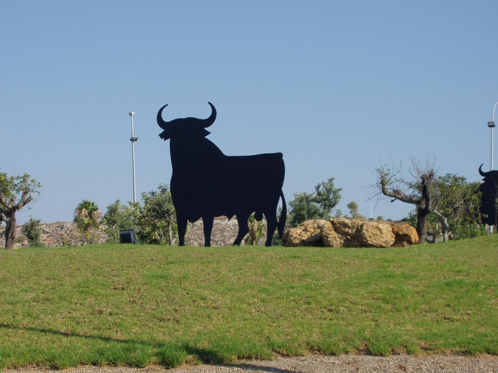 El Rincon De Carmen Rute