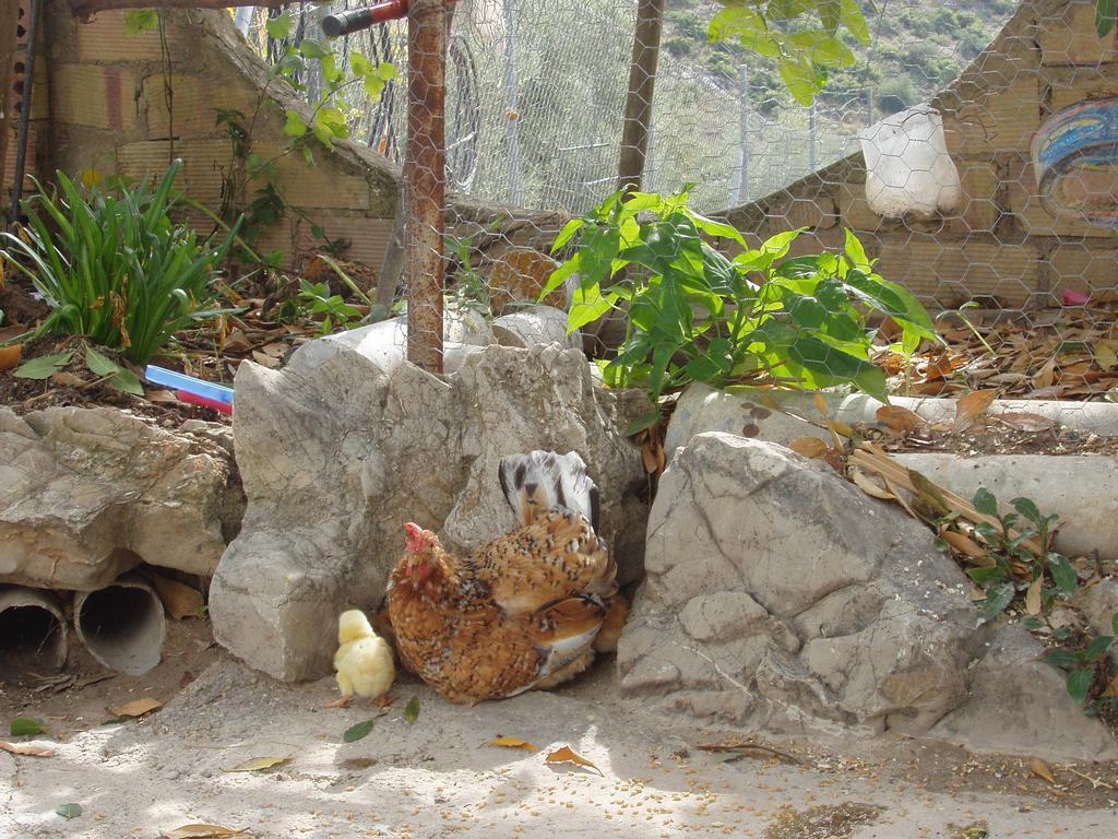 El Rincon De Carmen Country house