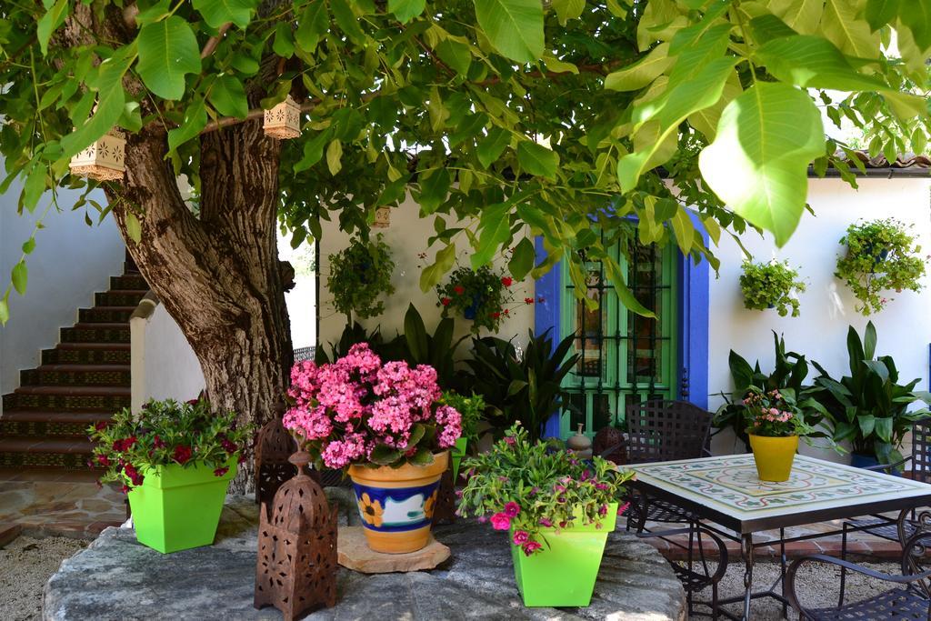 Country house El Rincon De Carmen