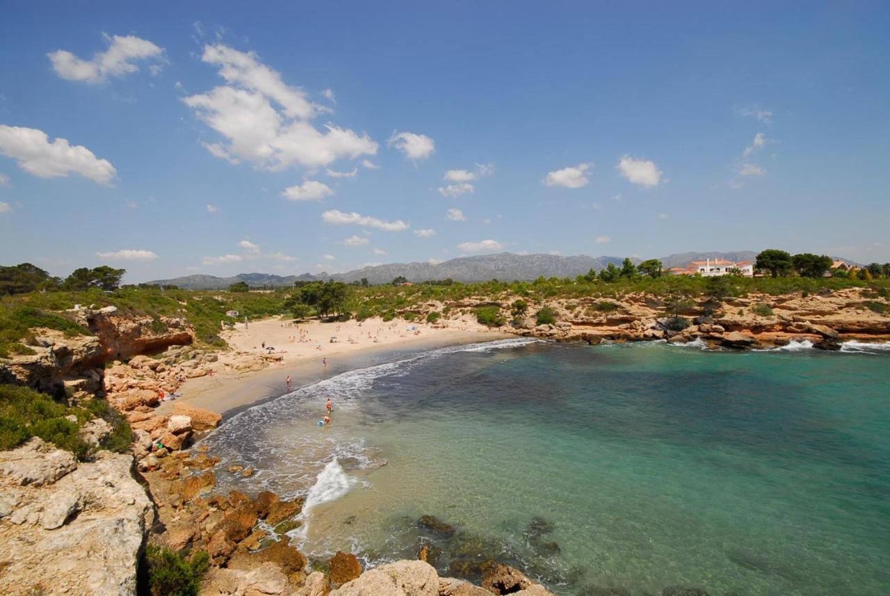 Bonito Msj 83 * Calafat