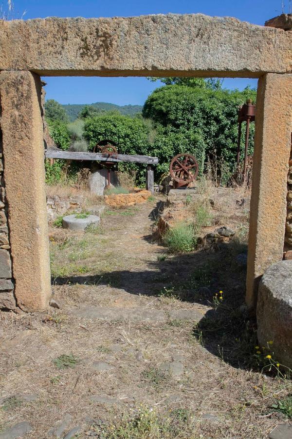 Apartamento Raices