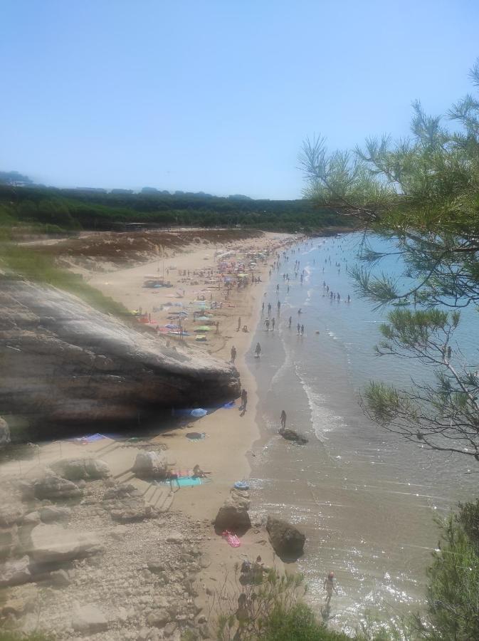 Paradise Village Port Aventuras Apartamento Salou