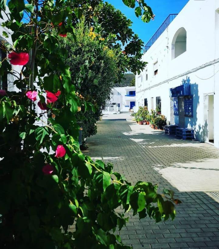 Vivienda A Pie De Calle En Agua Amarga A 250 Metros De La Playa * Agua Amarga (Almeria)