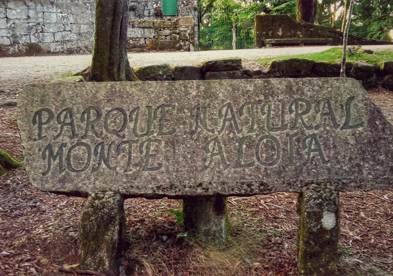 Ponte Febres
