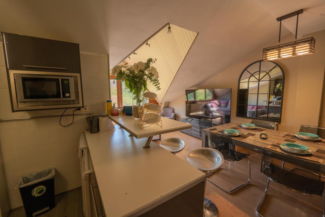 Apartment Apartamentos Formigal