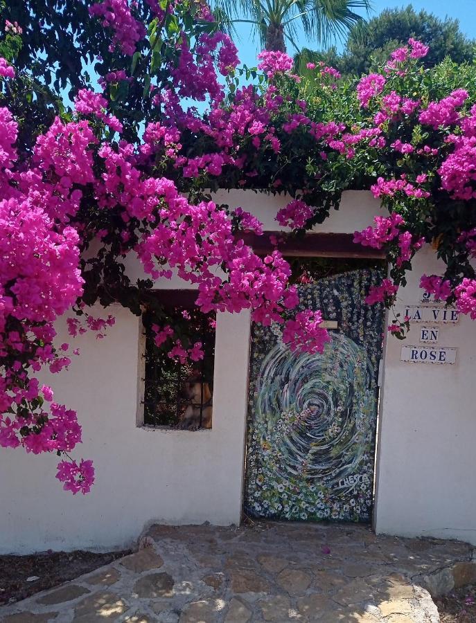 La Vie En Rose Apartamento