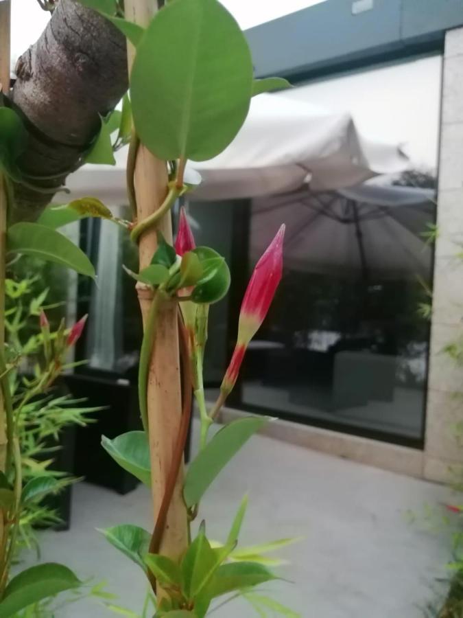 Precioso Vacaciones En Zona Ramallosa *
