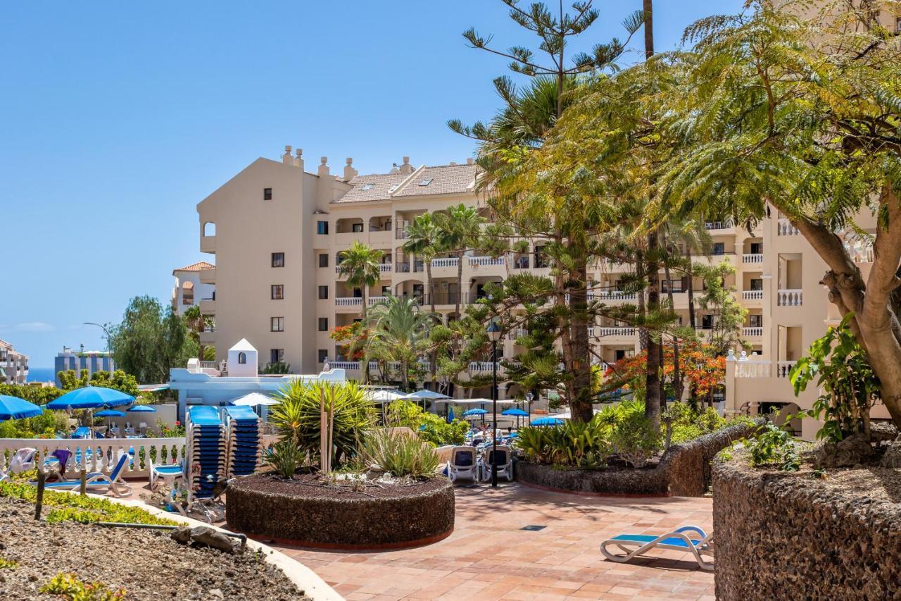 Phoebe's Flat Cristianos By Lovetenerife * Los Cristianos (Tenerife)