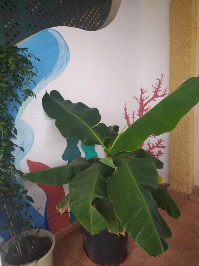 Holiday home Enjoy Fuerteventura *