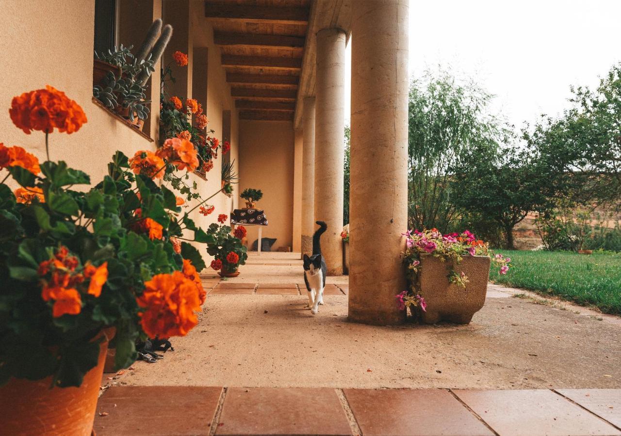 Country house La Solana Estollo