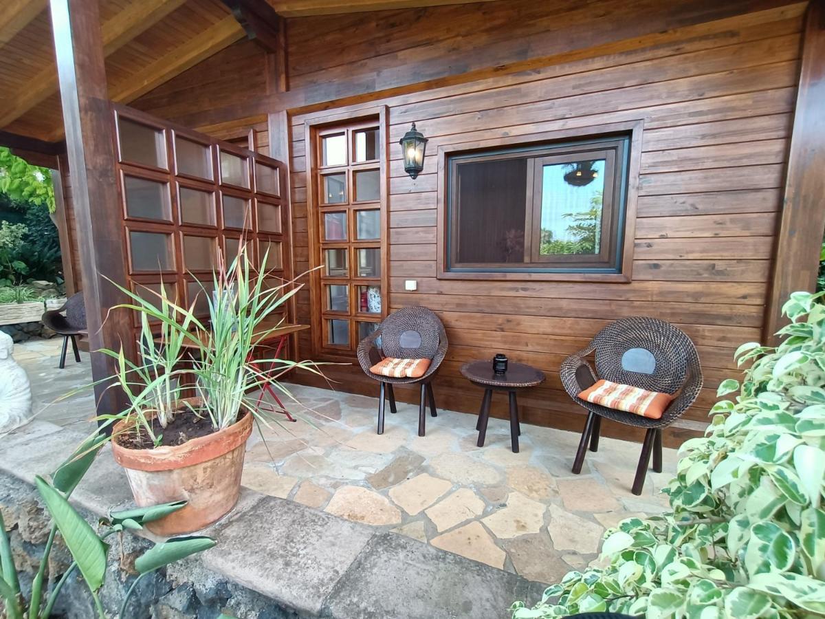 Estudio Rojo En Privada *