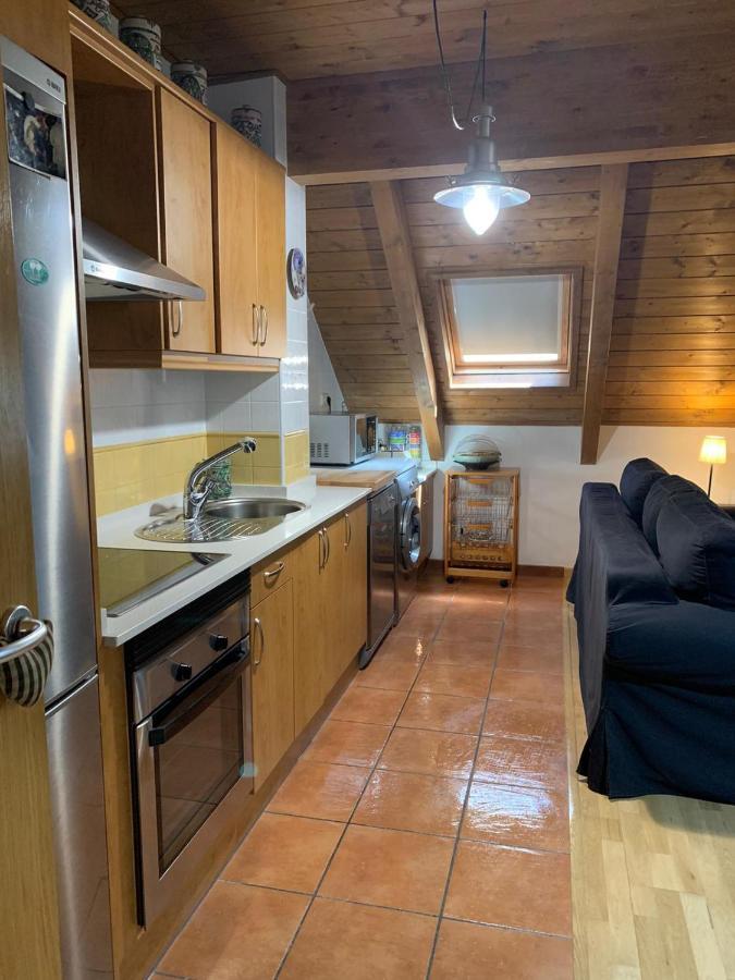 Buhardilla Pineta Apartment Bielsa