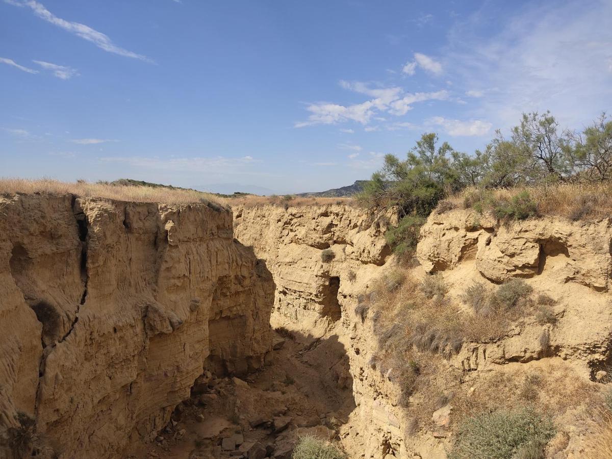El Pinar De Bardena Carcastillo