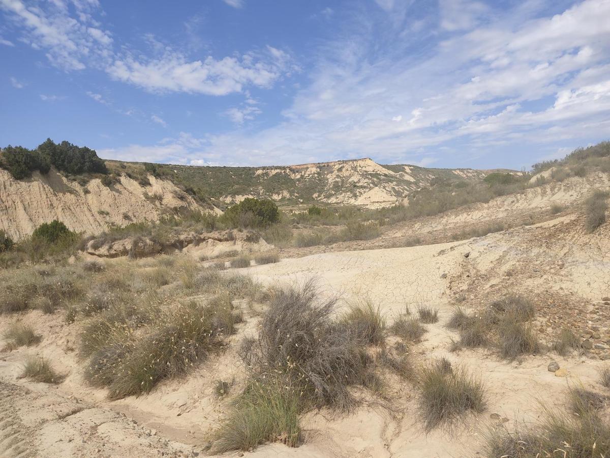 El Pinar De Bardena Сasa de vacaciones Carcastillo