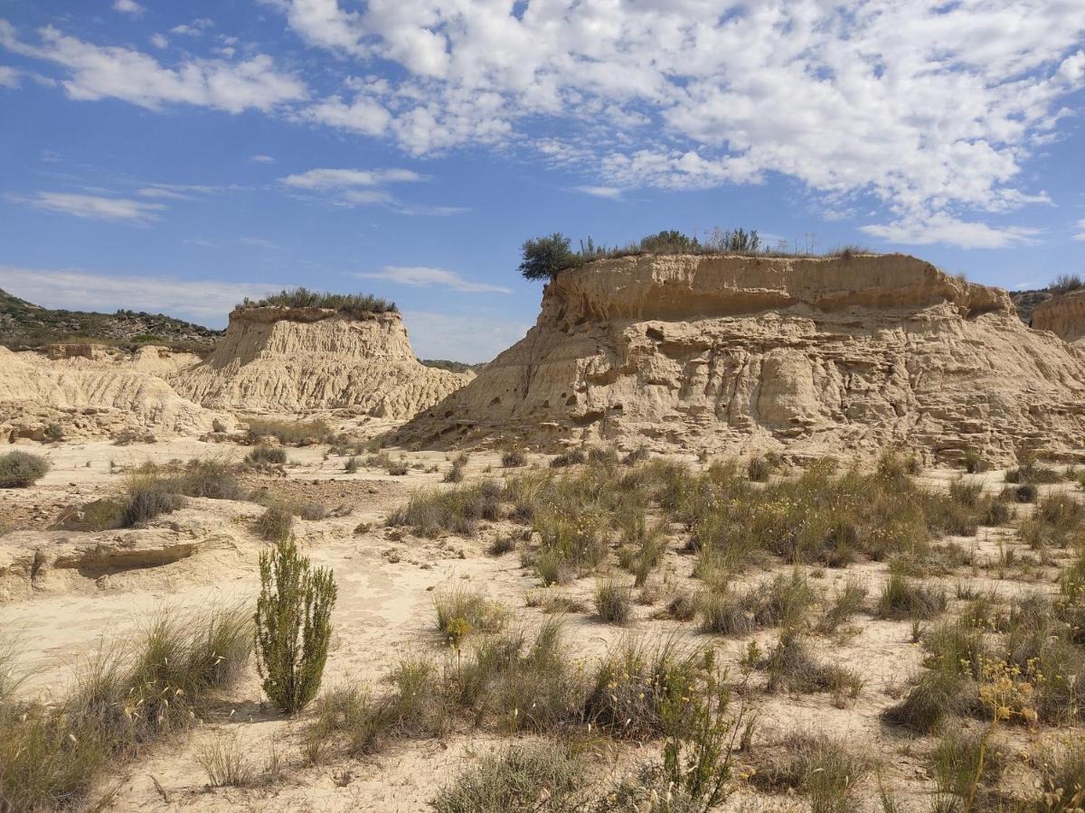 Сasa de vacaciones El Pinar De Bardena