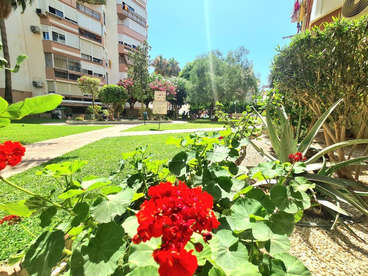 Apartment Aa Guest - El Mono De Eco *