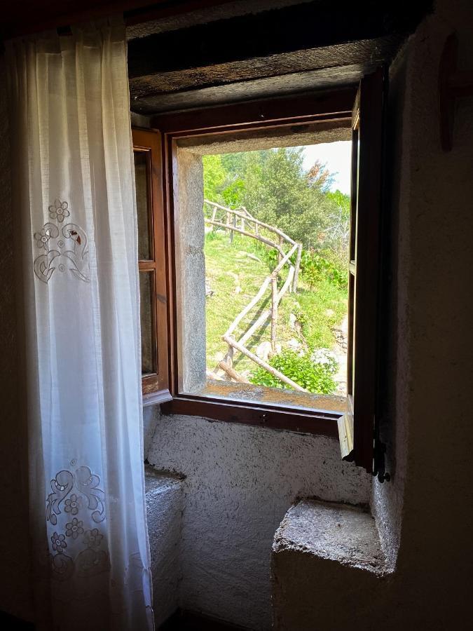 El Buxaus De La Muntanya Country house *