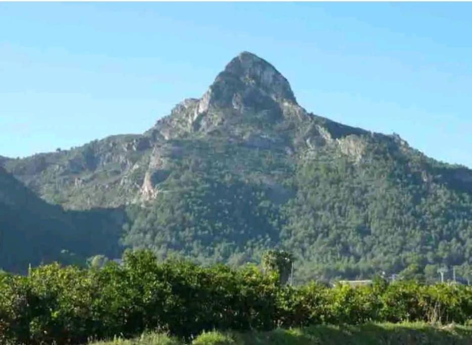Falconera. A Faldas De La Montaña. Apartamento *