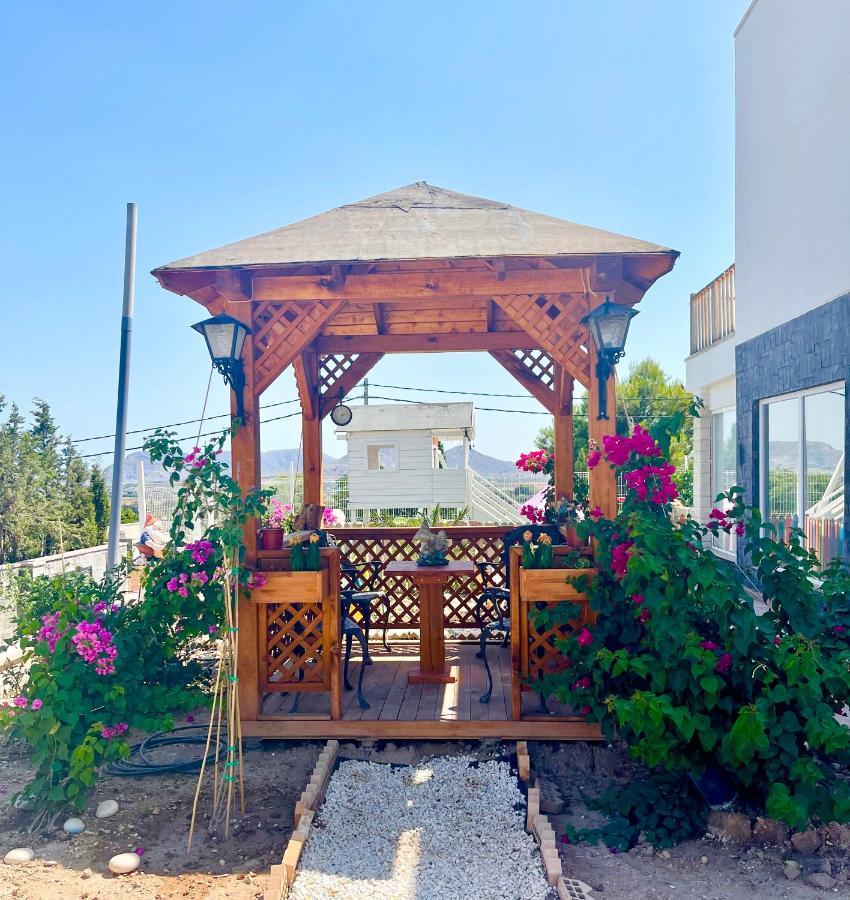 Montainbeach Holiday home San Vicente Raspeig