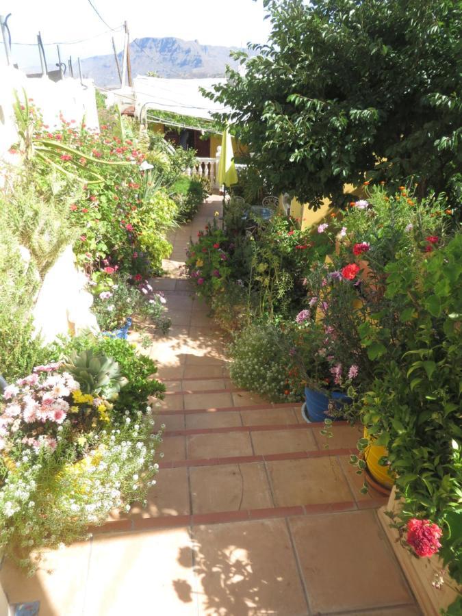 Gartenapartment Cortez * San Bartolome de Tirajana (Gran Canaria)
