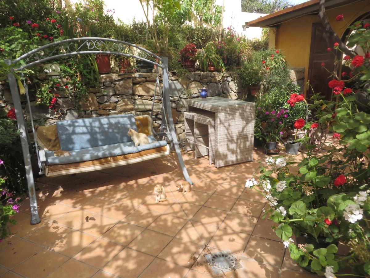 Apartment Gartenapartment Cortez *