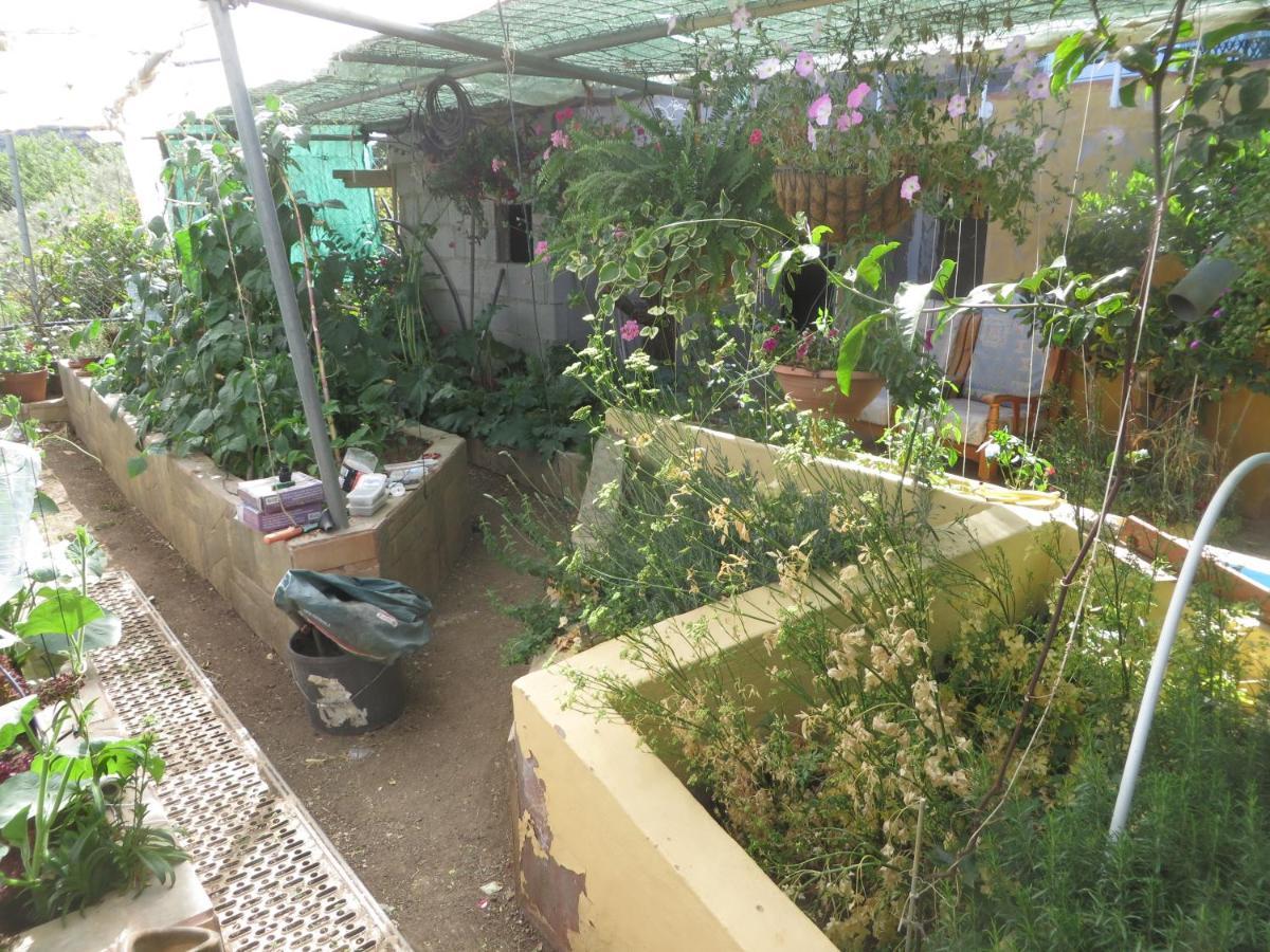 Apartment Gartenapartment Cortez San Bartolome de Tirajana (Gran Canaria)
