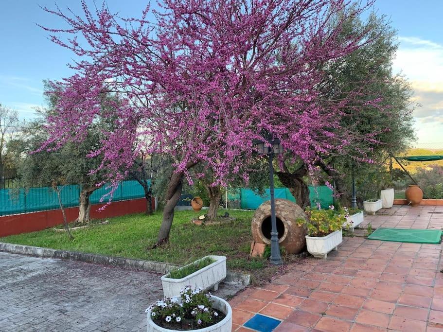 Casa Situada En Un Entorno Natural La Serena Сasa de vacaciones *