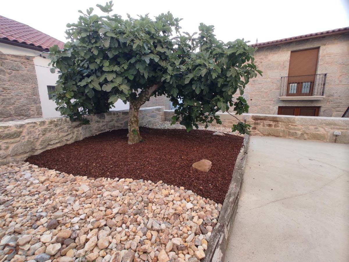 Casa Lagarto, Holiday home *