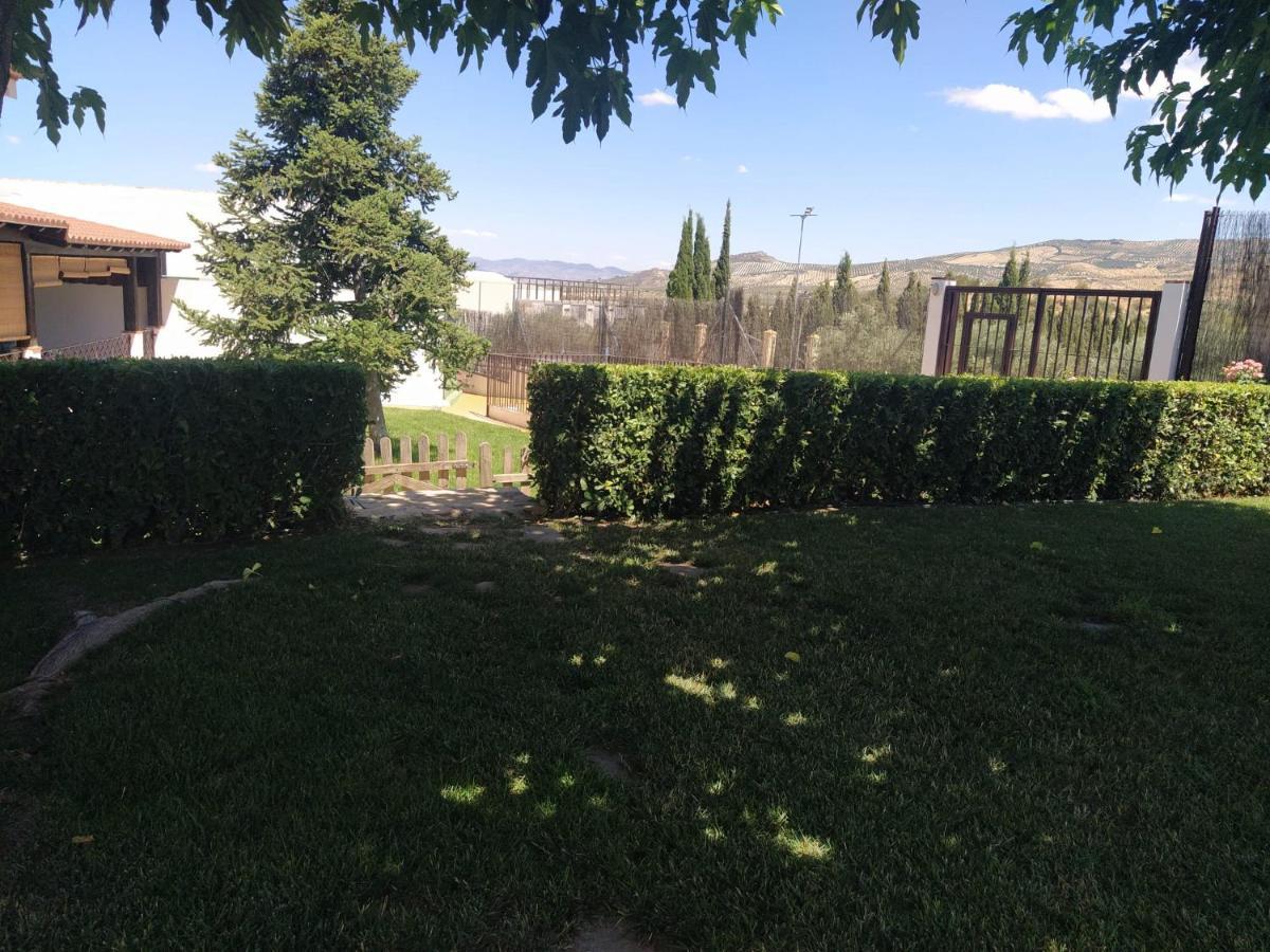 Holiday home Alamillo Luque