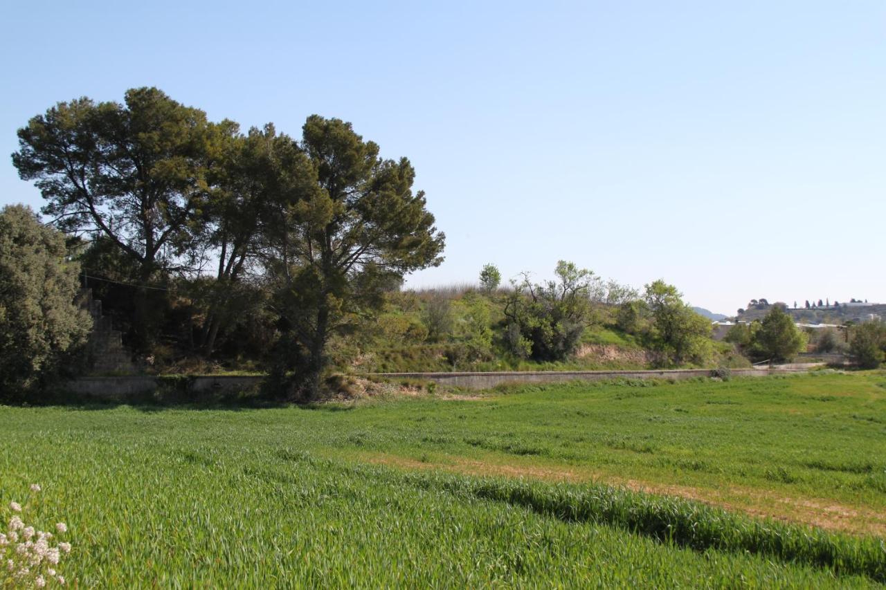 Mas Guillo Holiday home