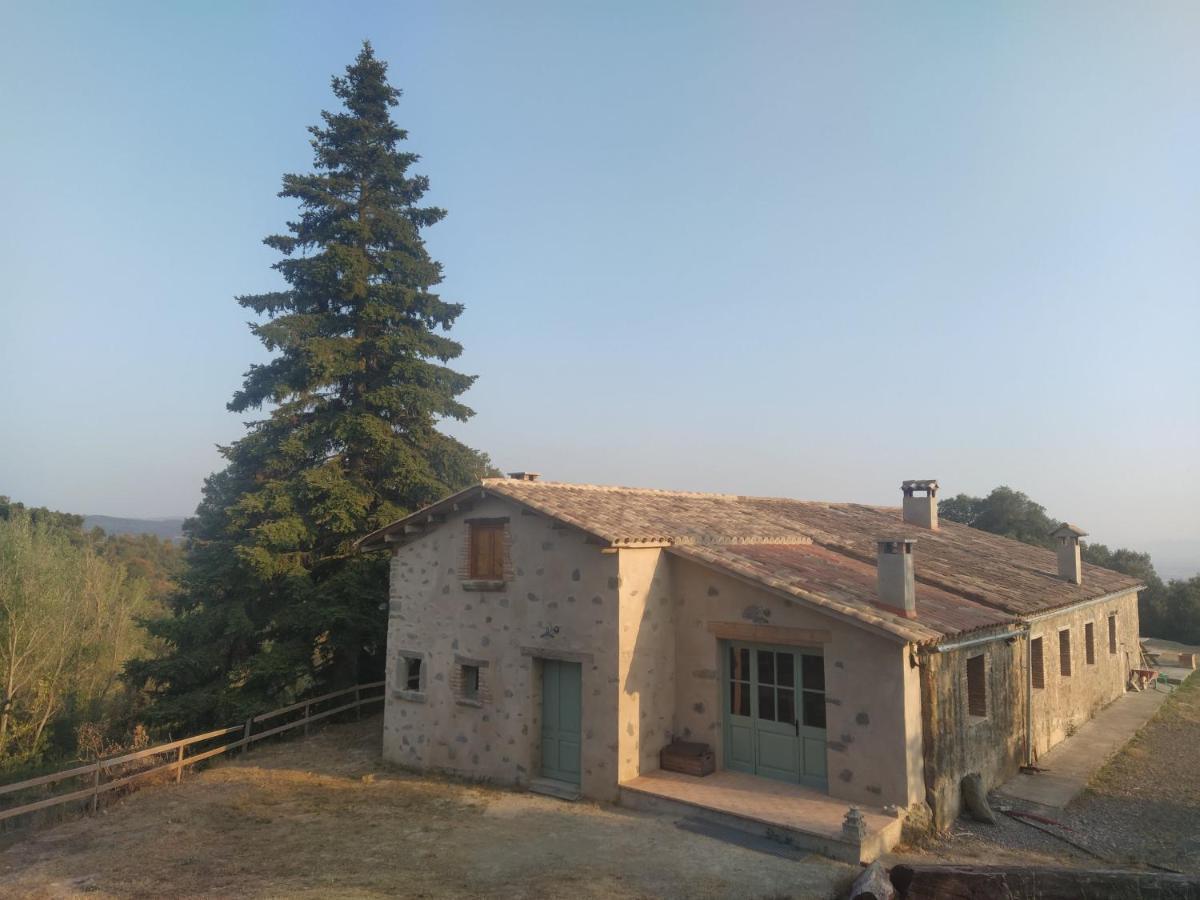 La Caseta De El Llancis