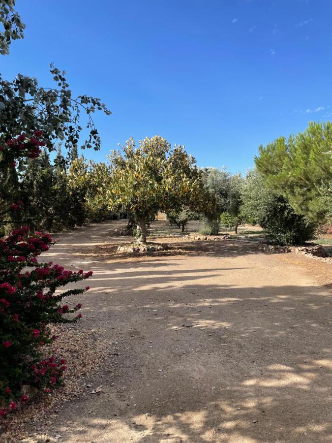 Cortijo Cano Casa rural *