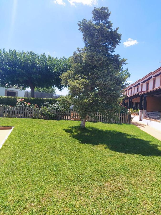 Alamillo