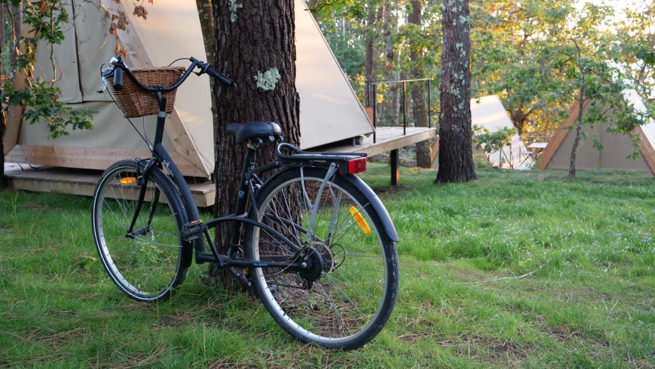Campo de lujo Amaraxe Ecoglamping Minortos