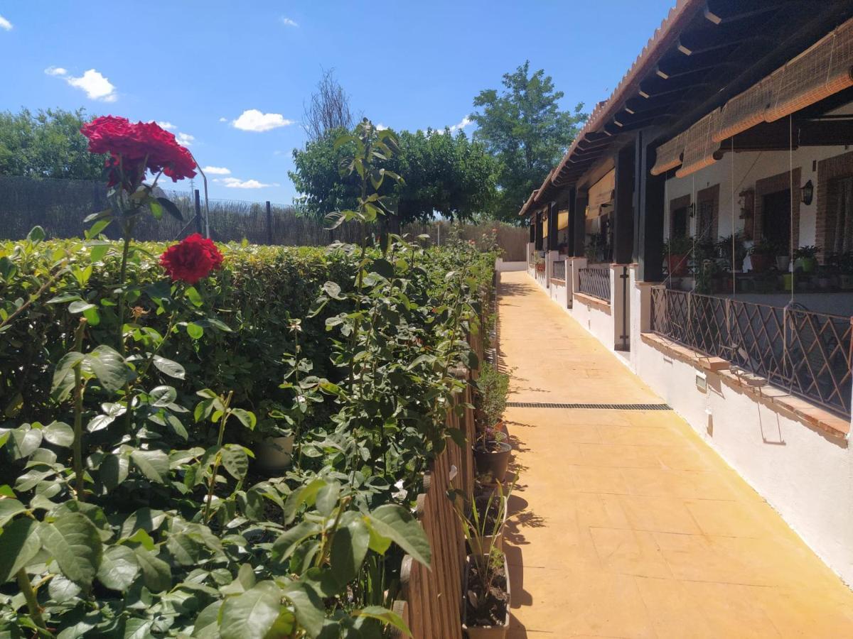 Сasa de vacaciones Alamillo