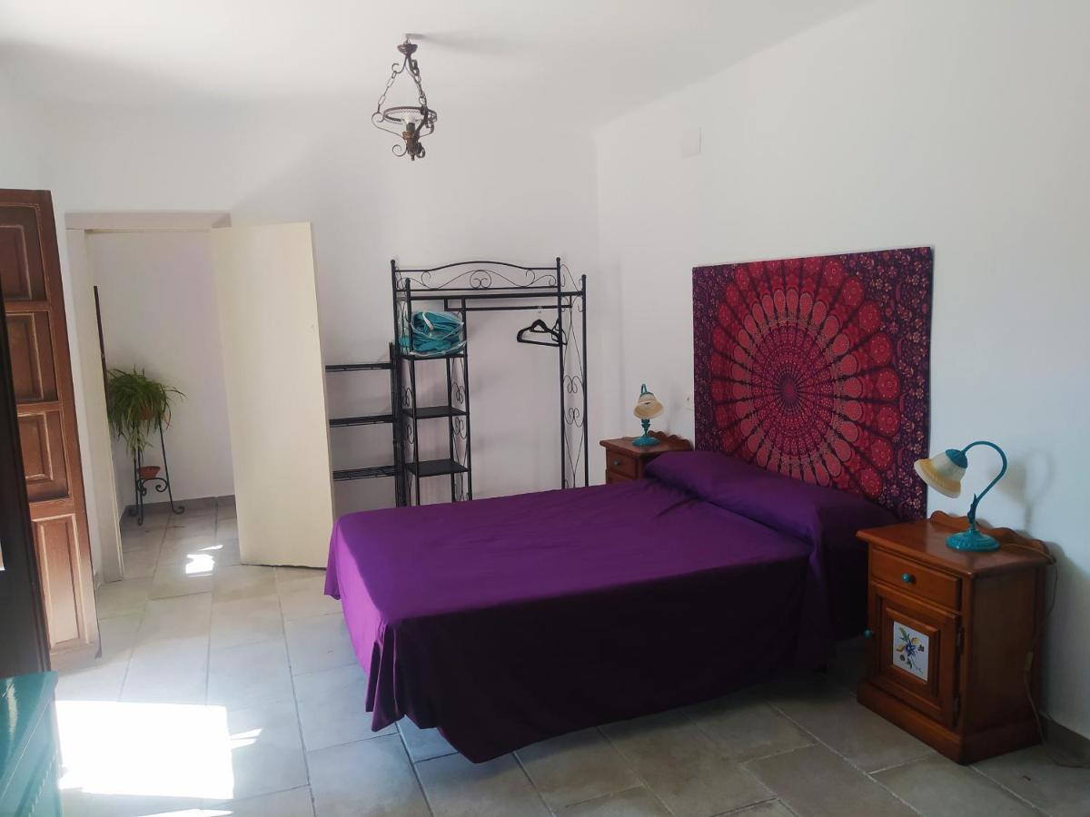 La Pastora Holiday home Cenes De La Vega