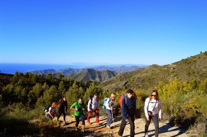 Apartamento Bajos Jimena At