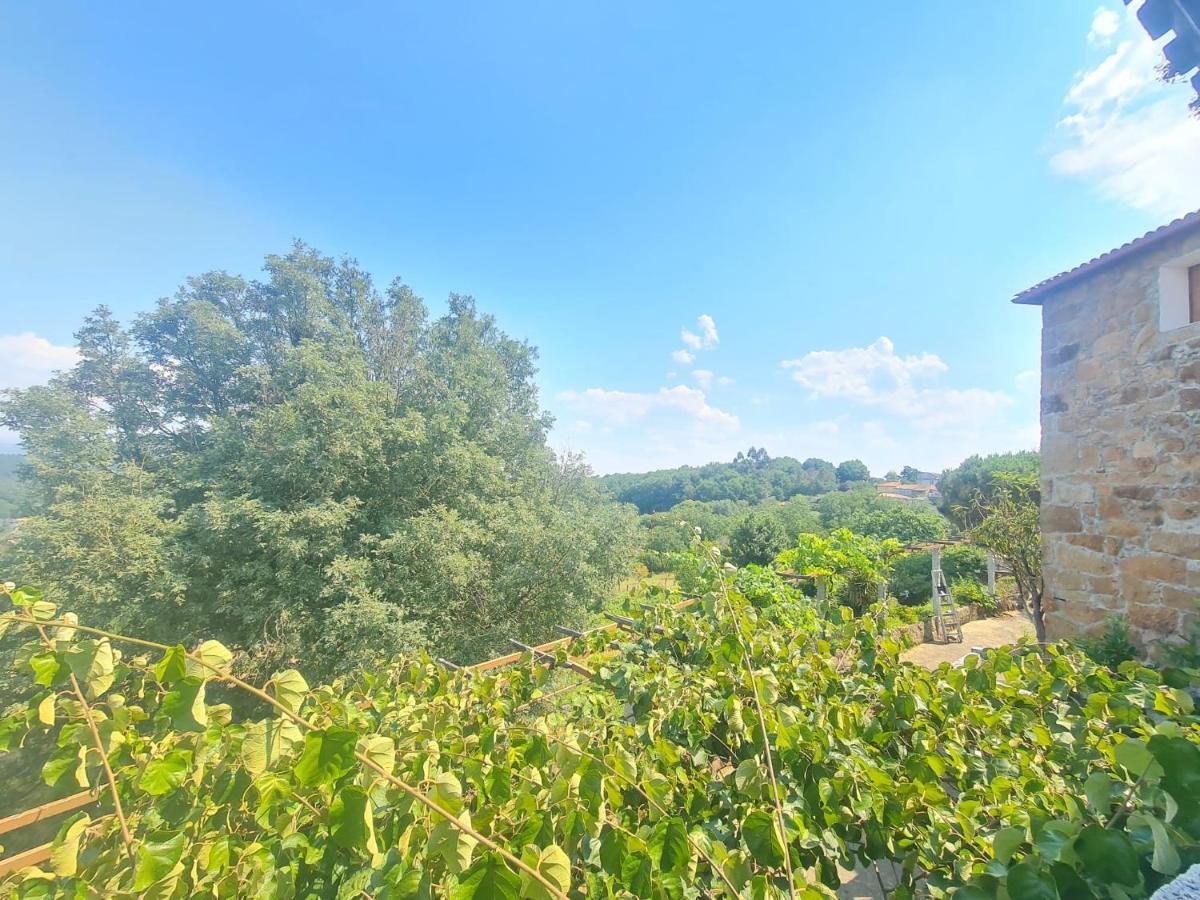 Castelodobispo - Ourense Holiday home *