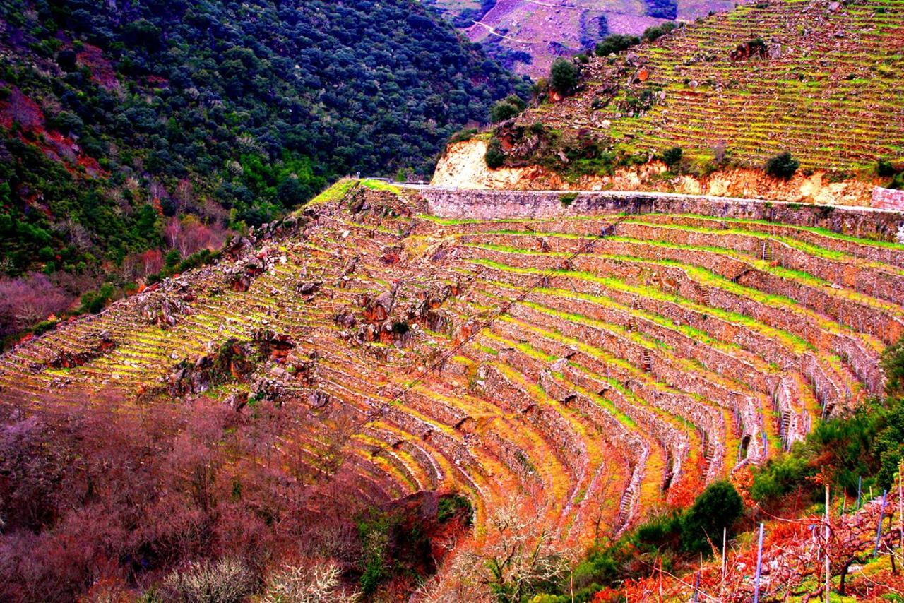 Castelodobispo - Ourense *