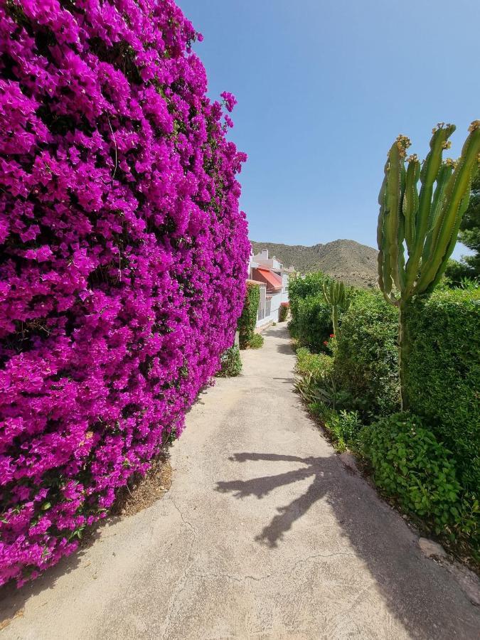Seaside 2 Bedroom With Pool Holiday home *