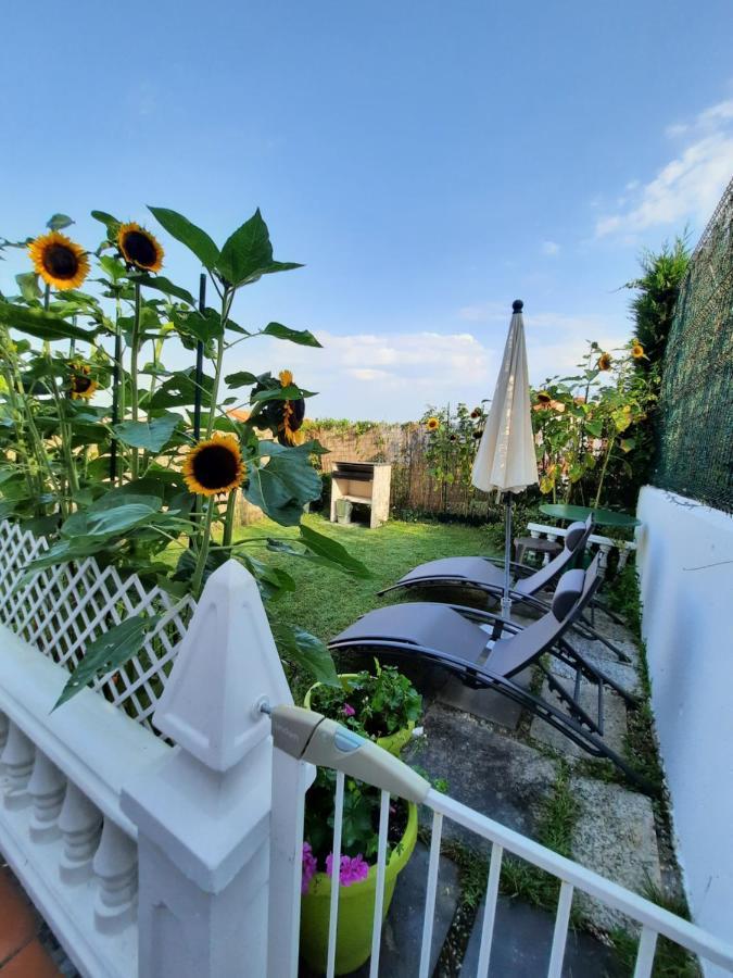 Duplex Con Vistas Al Mar Girasoles Apartment