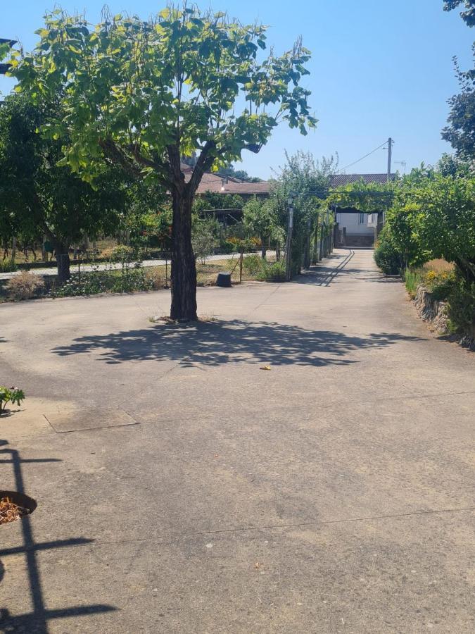 Castelodobispo - Ourense Holiday home *