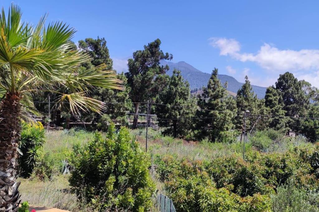 Сasa de vacaciones Agradable Casa Palmera Con Preciosas Vistas *