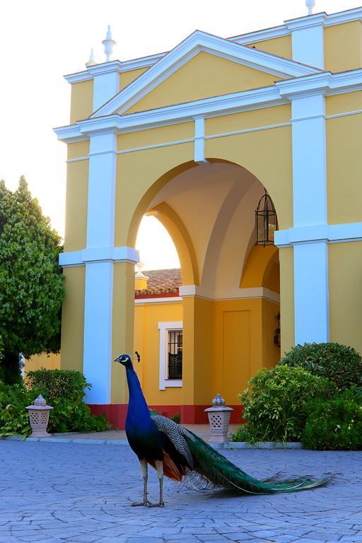 Hacienda Montenmedio Vejer de la Frontera